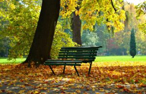 Eine Parkbank im Herbst