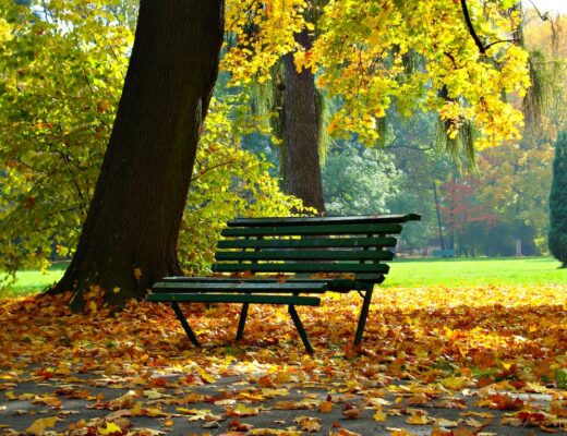 Eine Parkbank im Herbst
